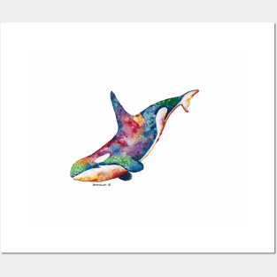 Rainbow Orca Posters and Art